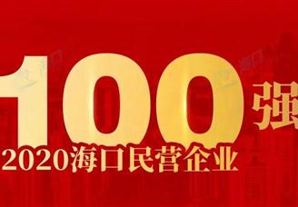 2020年海口市民营企业100强排行榜