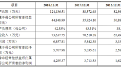 廣州瑞松智能科技首次發布在科創板上市 上市主要存在風險分析（圖）