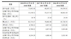廣東華特氣體首次發布在科創板上市  上市主要存在風險分析（圖）