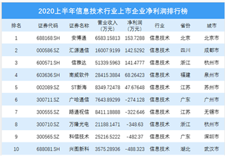 2020上半年信息技术行业上市企业净利润排行榜 TOP100