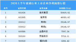 2020上半年玻璃行業上市企業凈利潤10強排行榜