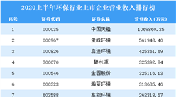 2020上半年環保行業上市企業營業收入排行榜