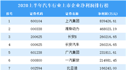 2020上半年汽車行業上市企業凈利潤排行榜TOP100
