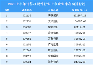 2020上半年计算机硬件行业上市企业净利润排行榜