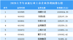 2020上半年水泥行業上市企業凈利潤排行榜