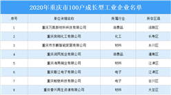 2020年重慶市100戶成長型工業企業名單出爐（附完整名單）