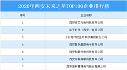 2020年西安未來之星TOP100排行榜
