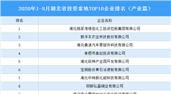 產業地產投資情報：2020年1-8月湖北省投資拿地TOP10企業排名（產業篇）
