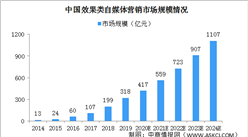 2020年中國效果類自媒體營銷市場規模及細分市場分析（圖）