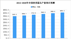 2020年中國食用菌存在問題及發展前景預測分析