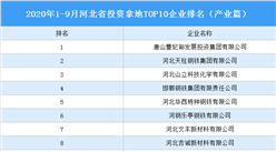 產業地產投資情報：2020年1-9月河北投資拿地TOP10企業排名（產業篇）