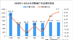 2020年8月山東省粗鋼產量數據統計分析
