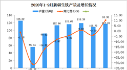 2020年9月新疆生鐵產量數據統計分析