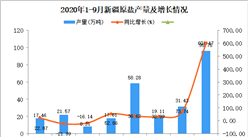 2020年9月新疆原鹽產量數據統計分析