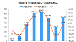 2020年9月新疆水泥產量數據統計分析
