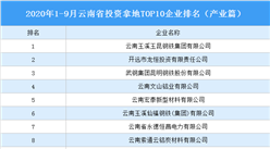 產業地產投資情報：2020年1-9月云南投資拿地TOP10企業排名（產業篇）