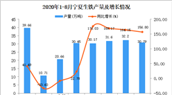 2020年9月寧夏生鐵產量數據統計分析