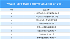 產業地產投資情報：2020年1-9月甘肅省投資拿地TOP10企業排名（產業篇）