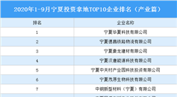 產業地產投資情報：2020年1-9月寧夏投資拿地TOP10企業排名（產業篇）