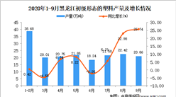 2020年9月黑龍江初級形態的塑料產量數據統計分析
