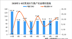 2020年9月黑龍江生鐵產量數據統計分析