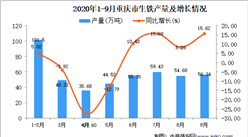 2020年9月重慶市生鐵產量數據統計分析