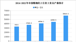 2021年中國精細化工行業存在問題及發展前景預測分析