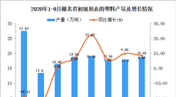 2020年9月湖北省初級形態的塑料產量數據統計分析