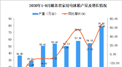 2020年9月湖北省家用電冰箱產量數據統計分析