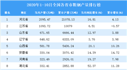 2020年1-10月全國各省市粗鋼產量排行榜