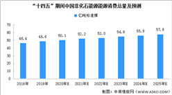 “十四五”我國非化石能源消費總量預測：2025年或達58億噸標準煤