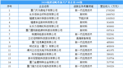 2020年福建省戰略性新興產業領軍企業100強排行榜
