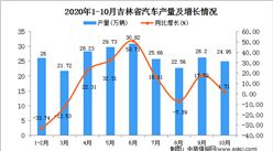2020年10月吉林省汽車產量數據統計分析