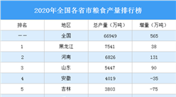 2020年全國31省市糧食產量排行榜：16省市糧食增產超10萬噸（圖）