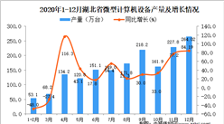 2020年12月湖北省微型計算機設備產量據統計分析