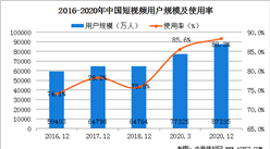 短視頻用戶迅速增長 2020年我國短視頻用戶規模為8.73億（圖）