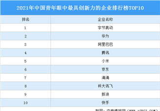 2021年中国青年眼中最具创新力的企业排行榜TOP10