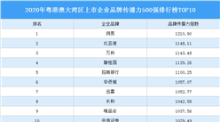 2020年粵港澳大灣區上市企業品牌傳播力500強排行榜TOP10