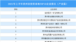 產業地產投資情報：2021年上半年貴州省投資拿地TOP10企業排名（產業篇）