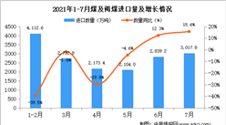 2021年7月中國煤及褐煤進口數據統計分析