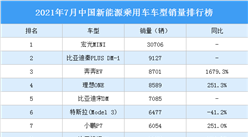 2021年7月中國新能源乘用車車型銷量排行榜（附榜單）