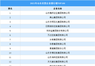 2021年山东民营企业排行榜TOP100（附榜单）
