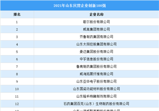 2021年山东民营企业创新排行榜TOP100（附榜单）
