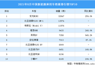 2021年8月中国新能源乘用车销量排行榜TOP10（附榜单）