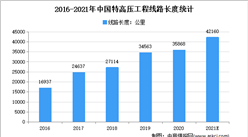 2021年中國特高壓行業存在問題及發展前景預測分析