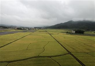 全国农业全产业链典型县建设名单（附全名单）