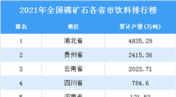 2021年全國各地磷礦石產量排名：湖北省排名第一（圖）