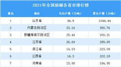 2021年全國各地燒堿產量排名：山東省排名第一（圖）