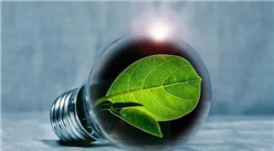 【碳中和專題】碳減排潛力大 “雙碳”背景下生物質能發電行業前景可期 （圖）