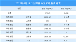 2022年4月15日全國各地最新玉米價格行情走勢分析